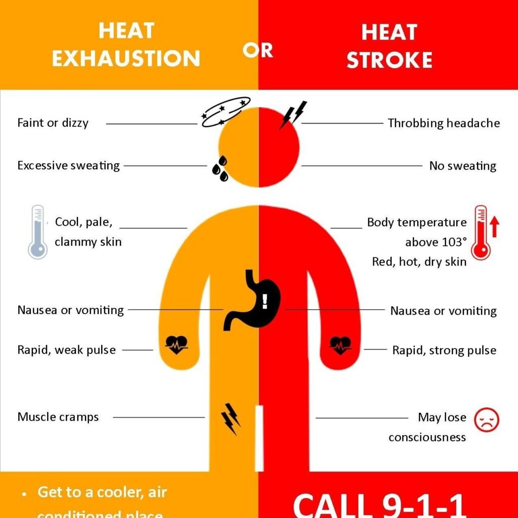 Training Adjustments for the Summer Months